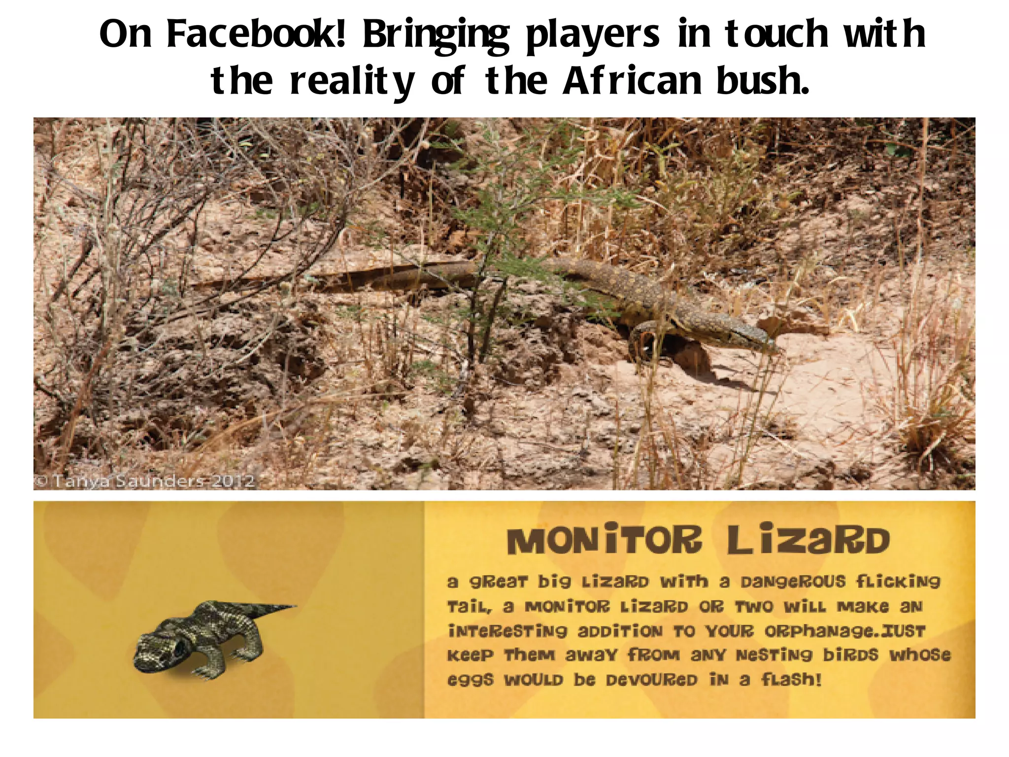 On Facebook! Bringing players in t ouch wit h
     t he realit y of t he Af rican bush.
 