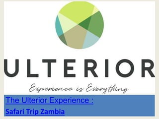 The Ulterior Experience :
Safari Trip Zambia
 