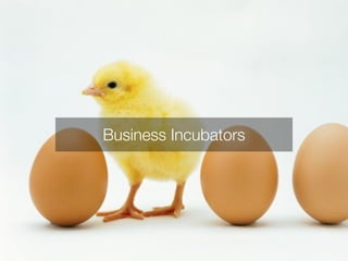 Business Incubators 
 