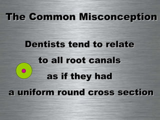 The Common Misconception  Dentists tend to relate  to all root canals  as if they had  a uniform round cross section 