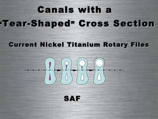 Current Nickel Titanium Rotary Files SAF Canals with a  “ Tear-Shaped ”  Cross Section 