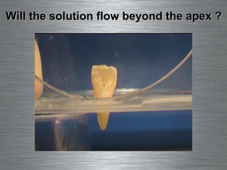 Will the solution flow beyond the apex ? 