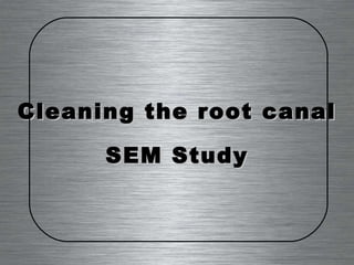 Cleaning the root canal SEM Study 