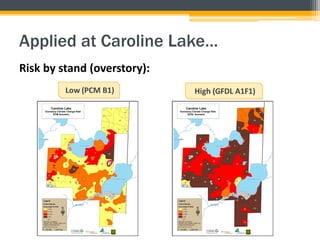 Applied at Caroline Lake…
Risk by stand (overstory):
 