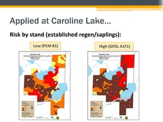 Applied at Caroline Lake…
Risk by stand (established regen/saplings):
 
