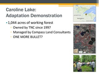Caroline Lake:
Adaptation Demonstration
•1,044 acres of working forest
▫ Owned by TNC since 1997
▫ Managed by Compass Land Consultants
▫ ONE MORE BULLET?
 
