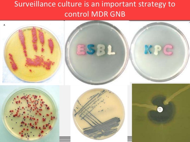 Tackling MDR bacteria