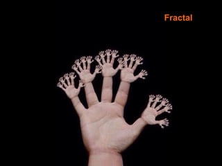 Fractal
 
