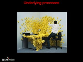 Underlying processes