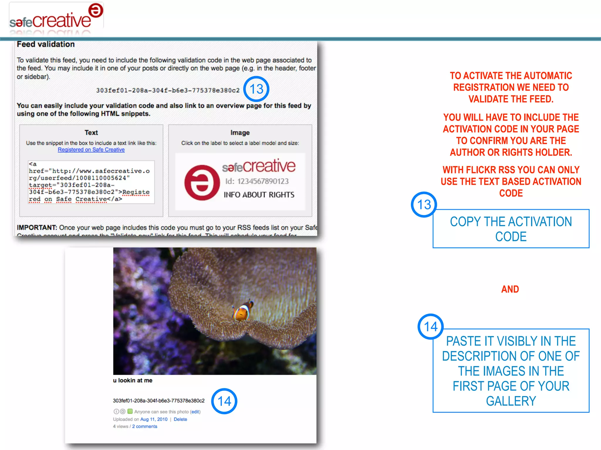 TO ACTIVATE THE AUTOMATIC
     13          REGISTRATION WE NEED TO
                    VALIDATE THE FEED.
               YOU WILL HAVE TO INCLUDE THE
               ACTIVATION CODE IN YOUR PAGE
                 TO CONFIRM YOU ARE THE
                AUTHOR OR RIGHTS HOLDER.
               WITH FLICKR RSS YOU CAN ONLY
               USE THE TEXT BASED ACTIVATION
                           CODE
          13
                COPY THE ACTIVATION
                       CODE


                           AND


          14
                PASTE IT VISIBLY IN THE
               DESCRIPTION OF ONE OF
                  THE IMAGES IN THE
                 FIRST PAGE OF YOUR
14                     GALLERY
 