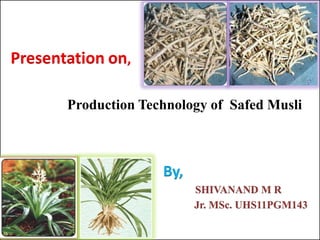 Presentation on,

       Production Technology of Safed Musli



                     By,
                           SHIVANAND M R
                           Jr. MSc. UHS11PGM143
 