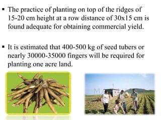 Manures and Fertilizers
  Musli cultivation requires different kinds of
  fertilizers like FYM, chemical fertilizers, gree...