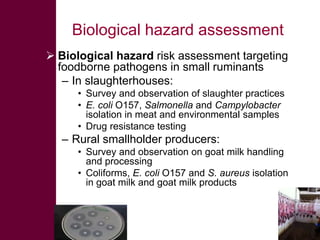 Safe Food, Fair Food