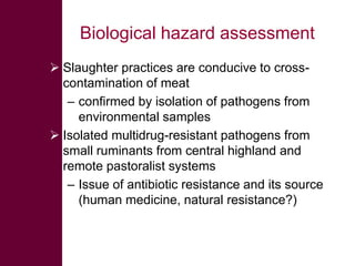 Safe Food, Fair Food