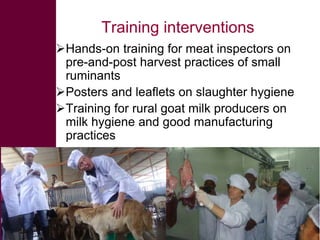 Safe Food, Fair Food