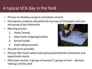 Safe Food, Fair Food in Uganda