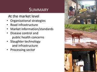 Safe Food, Fair Food in Uganda