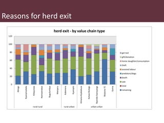 Safe Food, Fair Food in Uganda