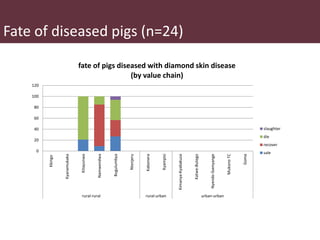 Safe Food, Fair Food in Uganda