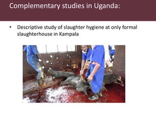 Safe Food, Fair Food in Uganda