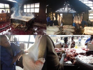 Safe Food, Fair Food in Uganda