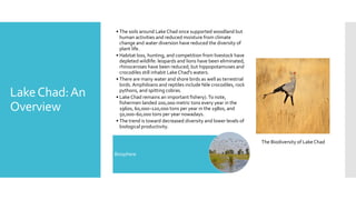 LakeChad:An
Overview
• The soils around Lake Chad once supported woodland but
human activities and reduced moisture from climate
change and water diversion have reduced the diversity of
plant life.
• Habitat loss, hunting, and competition from livestock have
depleted wildlife: leopards and lions have been eliminated,
rhinoceroses have been reduced; but hippopotamuses and
crocodiles still inhabit Lake Chad's waters.
• There are many water and shore birds as well as terrestrial
birds.Amphibians and reptiles include Nile crocodiles, rock
pythons, and spitting cobras.
• Lake Chad remains an important fishery).To note,
fishermen landed 200,000 metric tons every year in the
1960s, 60,000–120,000 tons per year in the 1980s, and
50,000–60,000 tons per year nowadays.
• The trend is toward decreased diversity and lower levels of
biological productivity.
Biosphere
The Biodiversity of Lake Chad
 