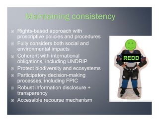 Safeguards and REDD+ | PDF