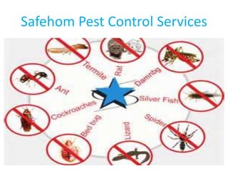 Safehom Pest Control Services
 
