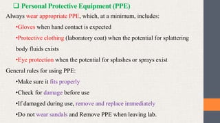 Minimum Lab Ppe Safe laboratory Practices, Chemical Storage and laboratory safety ...