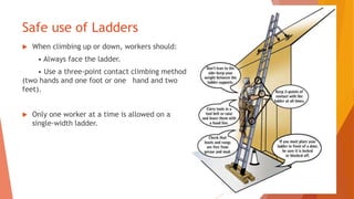 Safe use of Ladders
 When climbing up or down, workers should:
• Always face the ladder.
• Use a three-point contact climbing method
(two hands and one foot or one hand and two
feet).
 Only one worker at a time is allowed on a
single-width ladder.
 