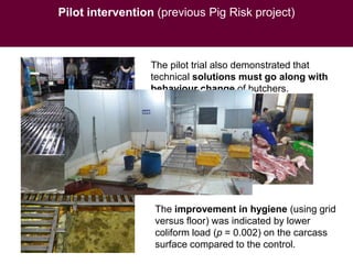 Pork safety assessment and first results from pilot interventions targeting slaughter and retail in selected provinces of Northern Vietnam
