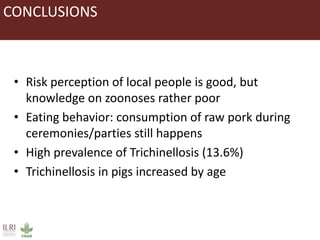 Occurrence of trichinellosis in indigenous pigs of ethnic minorities in Vietnam 
