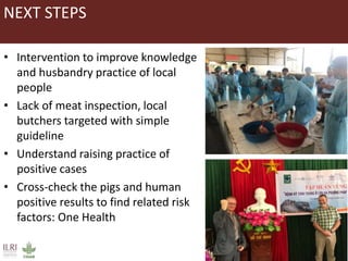 Occurrence of trichinellosis in indigenous pigs of ethnic minorities in Vietnam 