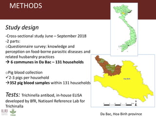Occurrence of trichinellosis in indigenous pigs of ethnic minorities in Vietnam 