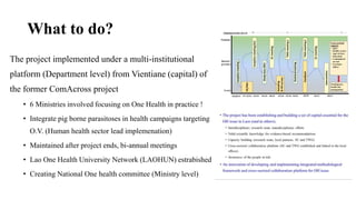 Pork consumption habits and occurrence of trichinellosis and cysticercosis in communities of southern Laos