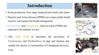 Pork consumption habits and occurrence of trichinellosis and cysticercosis in communities of southern Laos