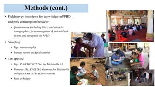 Pork consumption habits and occurrence of trichinellosis and cysticercosis in communities of southern Laos