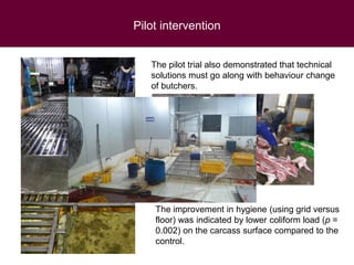 Safer pork: From assessment to interventions targeting rural and urban pork supply chains in Northern Vietnam