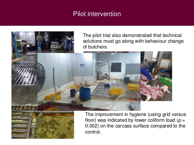 Safer Pork From Assessment To Interventions Targeting Rural And Urba