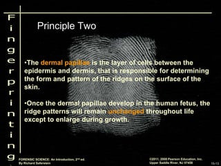 Saferstein Saferstein_2e_Ch15.ppt