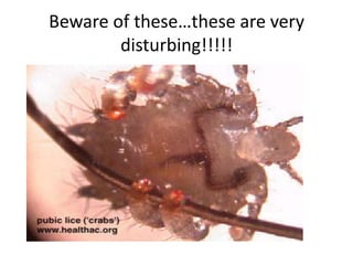 Beware of these…these are very
        disturbing!!!!!
 