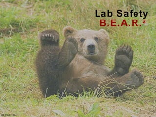 Lab Safety
                 B.E.A.R. 2




BL1961: Flikr
 