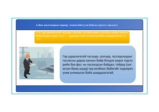 137
Гар удирлагатай таслуур, салгуур, тусгаарлуурыг
тасласны дараа ажлын байр бэлдэх үедээ тэдгээ
рийн бүх фаз нь таслагдсан байдал, тойруу (алг
ассан буюу шууд) түр холбоос байхгүйг нүдээрээ
үзэж үнэмшсэн байх шаардлагатай.
136. Гар удирлагатай таслуур, салгуур, тусгаарлуурыг тасласны дараа ажлын
байр бэлдэх үедээ юуг нүдээрээ үзэж үнэмшсэн байх шаардлагатай в
э?.
Албан даалгаварын мөрөөр зохион байгуулж байгаа сургалт, шалгалт
 