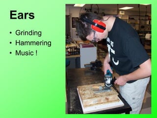 Ears
• Grinding
• Hammering
• Music !
 