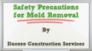 Safety precautions-for-mold-removal