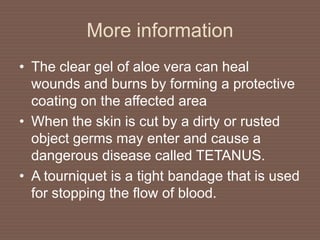 More information
• The clear gel of aloe vera can heal
wounds and burns by forming a protective
coating on the affected area
• When the skin is cut by a dirty or rusted
object germs may enter and cause a
dangerous disease called TETANUS.
• A tourniquet is a tight bandage that is used
for stopping the flow of blood.
 