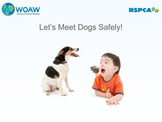 Let’s Meet Dogs Safely!
 