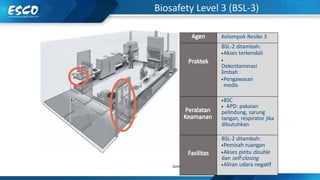 Comprehensive Safety Awareness in Laboratory Cabinet Use: Laminar ...