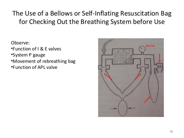 does absorber work moisture how Station Anesthesia Safety Work does absorber work moisture how Station Anesthesia Safety Work