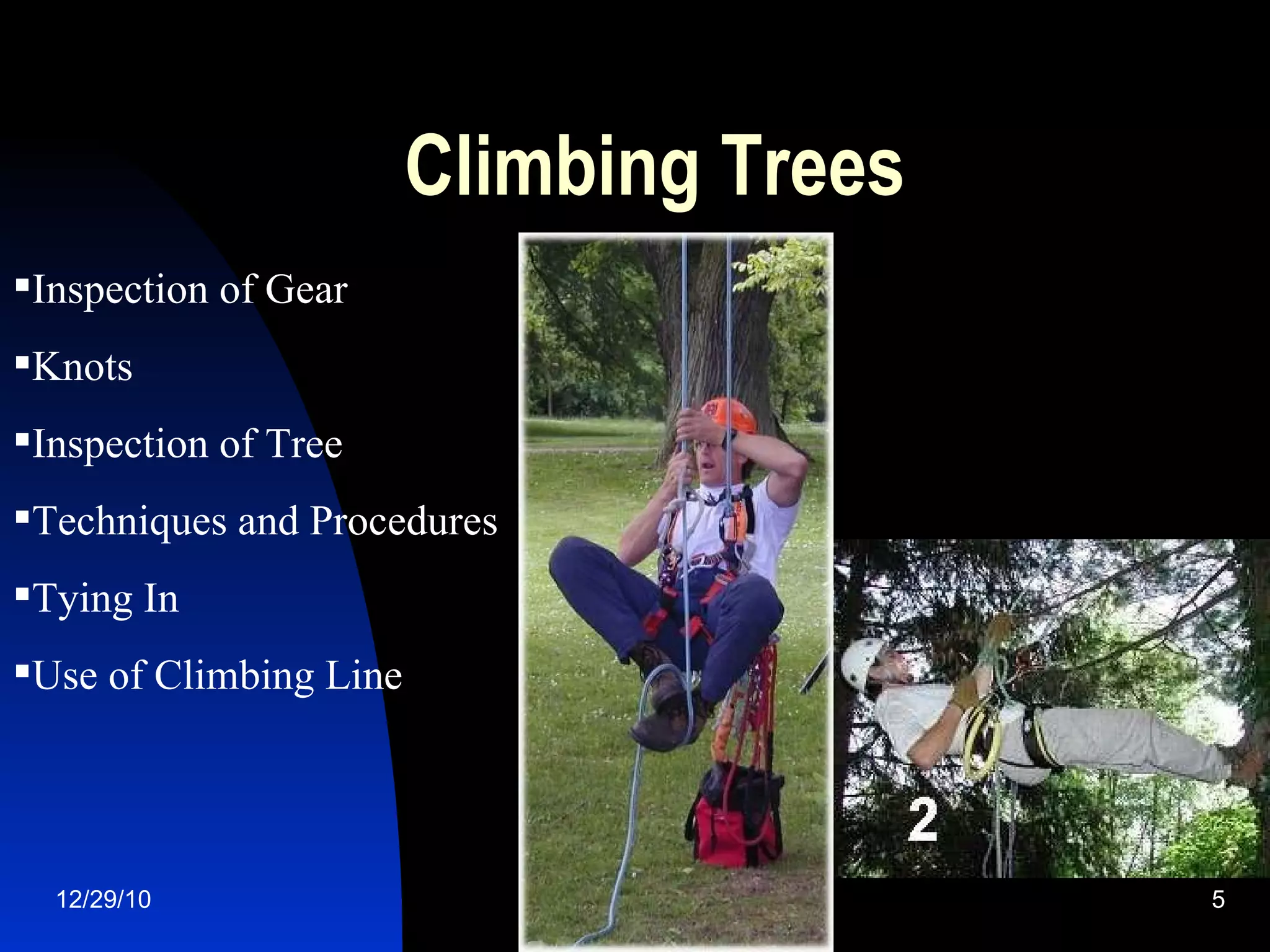 Safety climbing and working in trees | PPT